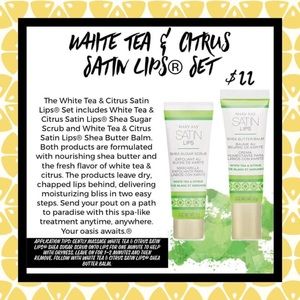 Mary Kay Satin Lips Set